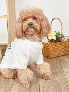 Close-up of a poodle wearing a breathable white mesh dog t-shirt with heart patterns