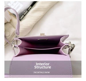 Internal structure of mini crossbody bag showing compartments and silver metal accents