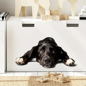 Detail of a white wooden kids storage box featuring a cute realistic black puppy print