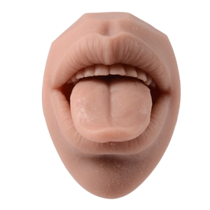 Macro view of realistic silicone mouth and tongue model for piercing training practice