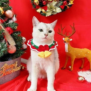 Pet Christmas collar with yellow bell on a white cat, festive holiday background