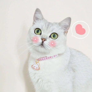 Close-up of pink checkered cat collar with cute bunny planet metal pendant detail