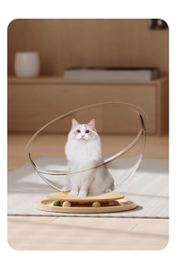 Transparente Katzen-Raumkapsel auf drehbarer Holzbasis mit integrierter Spielzeugbahn