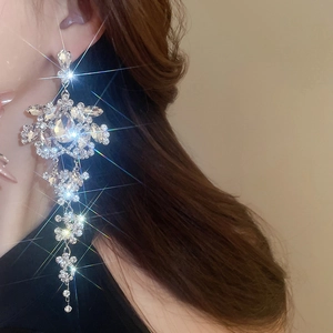 Elegant silver tassel earrings with teardrop rhinestones on a female model