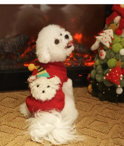 Close-up of red Christmas dog sweater with 3D puppy decor on a Bichon Frise