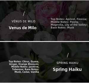 Detail view of scented candle fragrance notes with botanical ingredients and floral backdrop