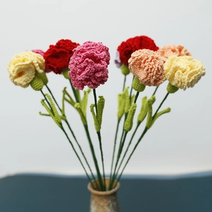 Handmade crochet carnation bouquet with multi-colored lace yarn flowers for Mother's Day