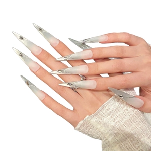 Extra long stiletto press-on nails with silver cat-eye gradient and delicate rhinestones