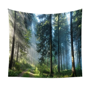Nature wall tapestry featuring a misty forest with sunbeams in high-definition print