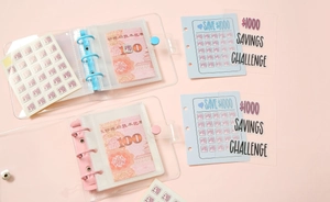 Blue and pink budget binder set for $1000 savings challenge with transparent cash envelopes