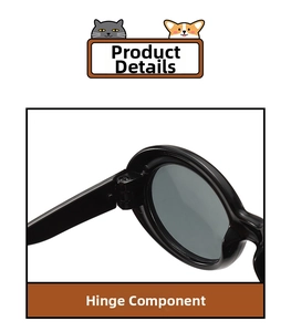 Détails de la charnière robuste et de la monture brillante sur les lunettes pour animaux