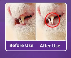 Cat dental care effect showing plaque removal and teeth whitening results on felines