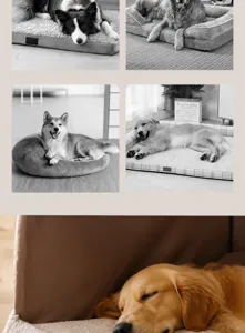 Detail view of plush fabric texture and soft padding of the durable pet bed cushion