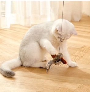 Dettaglio macro del giocattolo per gatti a forma di uccello con piume e filo in acciaio