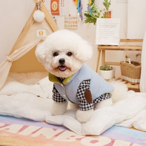 Detail of blue and green pet vest paired with black and white checkered shirt sleeves