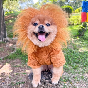 Detailed view of brown lion mane wig and sherpa fleece pet costume for dogs and cats
