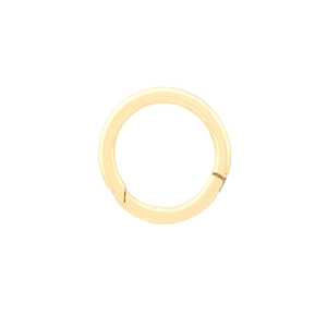 Detailaufnahme eines polierten goldenen Hufeisen-U-Verschlusses mit glatter Oberfläche