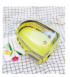 Detail view of the lime green transparent pet carrier backpack with breathable air holes