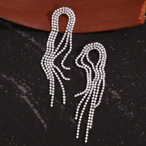 Macro shot of silver tassel earrings featuring sparkling rhinestones on a metal frame