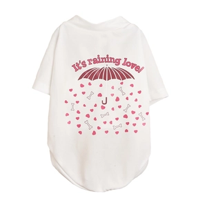 Macro shot of breathable mesh pet T-shirt with 'It's raining love' print and heart patterns