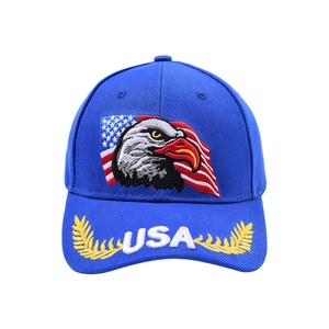 Detail of royal blue baseball cap featuring eagle embroidery and USA brim stitching