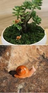 Macro detail of realistic resin miniature snail with vibrant orange shell for garden decor