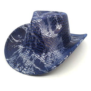 Détail d'un chapeau de cowboy bleu et argent avec texture serpent et bord incurvé