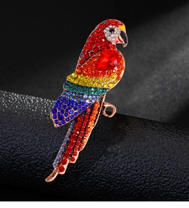 Detailed close-up of vibrant multi-color parrot brooch with sparkling rhinestones