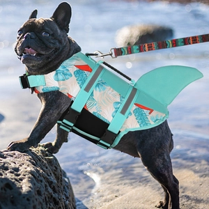 Shark fin dog life jacket in blue tropical print worn by a French Bulldog at the beach