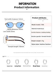 Detailed size chart for fashion sunglasses with frame dimensions and lens specifications