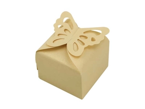 Detail of champagne gold pearlized paper gift box with laser cut butterfly closure