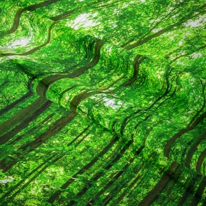 Dettaglio della stampa digitale foresta ad alta definizione su tessuto morbido