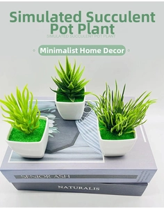 Three assorted artificial succulent plants in minimalist white square pots for office desk