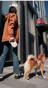 Action shot of white retractable pet leash and blue dog harness for outdoor walking