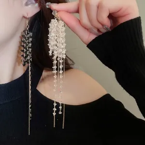 Orecchini Pendenti Con Nappa Lunga Con Perle Di Vetro E Perno In Argento Sterling 925 Gioielli Di Moda Eleganti Per Donna