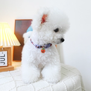 Detail of purple woven pet collar with pumpkin pendant on a white fluffy dog