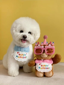 Blue and pink plush knitted birthday bibs and hats for small dogs on yellow background