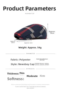 Detailed size specifications for the colorful plaid newsboy hat with dimensions and weight