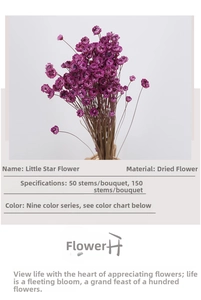 Macro shot of purple small star dried flowers with detailed 50 to 150 stems bundle