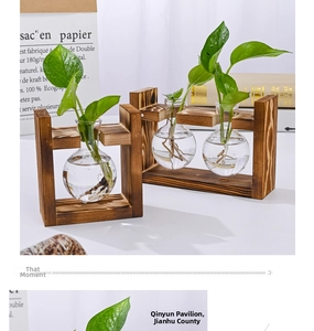 Close-up of wooden frame with bulb-shaped glass vases for hydroponic plants