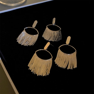 Detailed close-up of golden tassel earrings with oval frames and dangling metal chains
