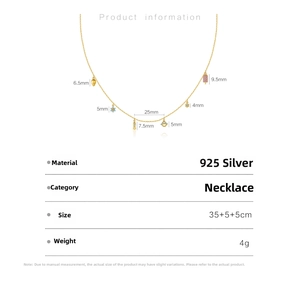 S925 silver gold necklace detail with colorful ice cream and flower charms and dimensions