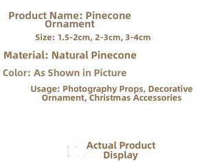 Macro detail of natural pine cones in various sizes for Christmas DIY decor