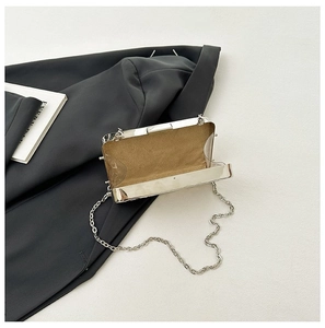 Detalle del bolso de mano acrílico transparente con borde metálico plateado y forro suave