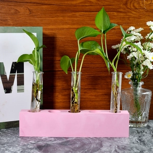 Base rectangulaire rose à 5 trous en résine avec tubes à essai pour plantes hydroponiques