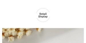 Close-up detail of white dried flowers with natural brown calyx and organic texture