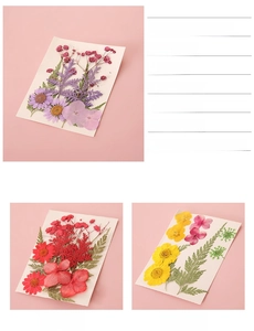 Detailansicht getrockneter Pressblumen für DIY-Lesezeichen mit Gänseblümchen und Schleierkraut