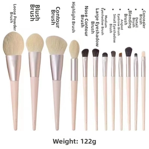 Detailed view of 12-piece professional makeup brush set in pink weighing only 122g