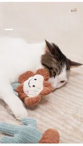 Detail of plush knitted cactus and flower cat toys with soft texture on beige carpet