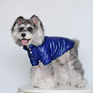 Détail du gilet bleu brillant pour chien avec fermeture à boutons pression